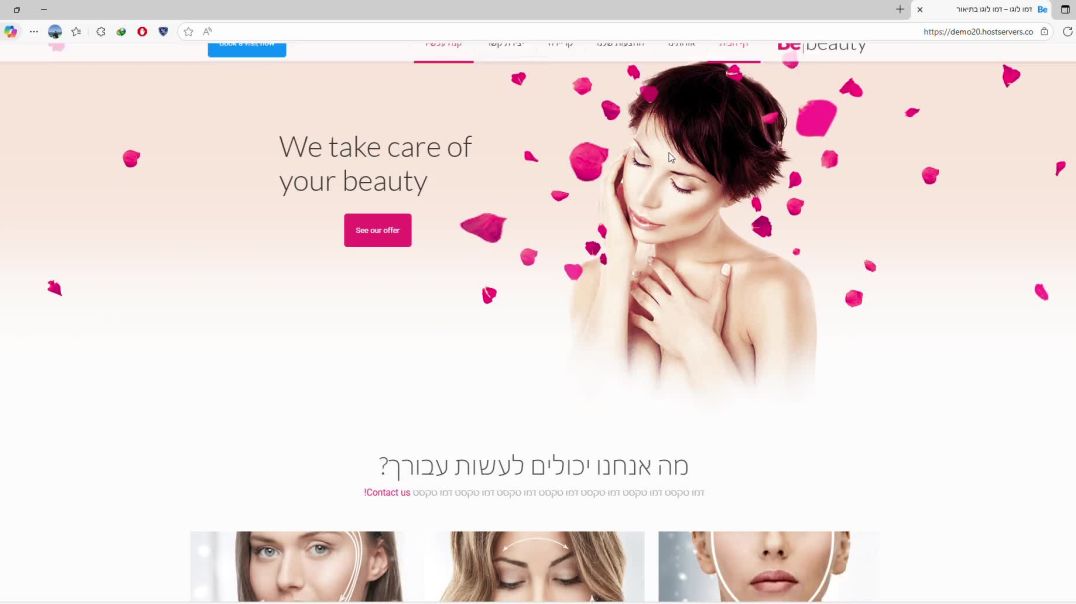 סקירה כללית 2